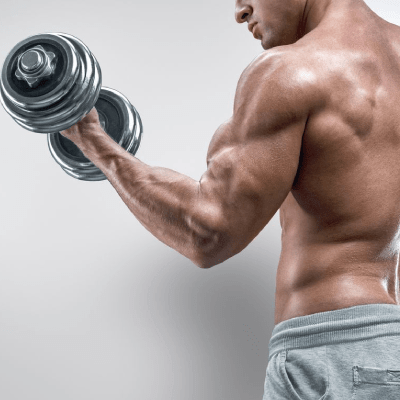 Fitness Training